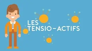 E-Sano - Les Tensio Actifs