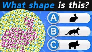 👓 What Do You See? 👁️🌈 Fun Color Vision Test! | Quiz DingDong