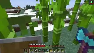 2025 12 30 19 39 07 minecraft