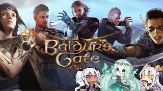 [Baldur's Gate 3] A fish and two geckos walk into a bar... ouch