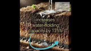 5 Reasons Terreplenish is Better Than Chemical Fertilizers