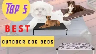 Which Is The Best Outdoor Dog Beds To Buy