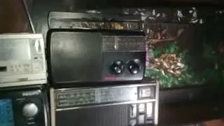ALL transister vintage radio collection video 📷Avelable for sell #radio #oldradio #oldisgold #viral