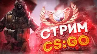 ПОДНИМАЮ ЗВАНИЯ В КС #shorts #майнкрафт #minecraft #games #mods #csgo #cs2