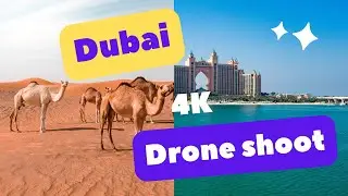 Desert Safari Dubai 4K Drone shoot 2023 | Dji Mini 3 Pro