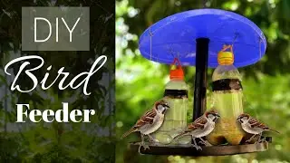 How To Make A Bird Water Feeder | DIY Homemade Plastic Bottle Bird Water Feeder