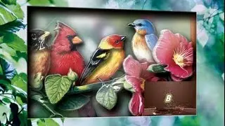 Малыши!!!  Детский КАНАЛ Video for kids Это- Редкие Птицы Видео для детей