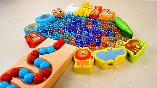Animal Blocks Marble Run Race ASMR ☆ Creative Healing Sound