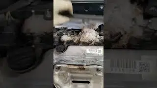 Customer states 