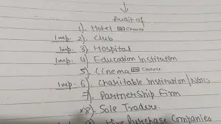 Special Audit 1 Revision For CA Audit Exam