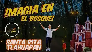 Santa Rita Tlahuapan y el Santuario de las Luciérnagas 🌌 | Magia Nocturna en Puebla