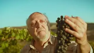 Wine Space   The Future Of Wine Tourism