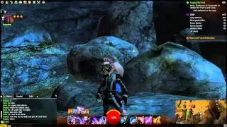 Soupa gets 60 FPS in GW2 and does this.