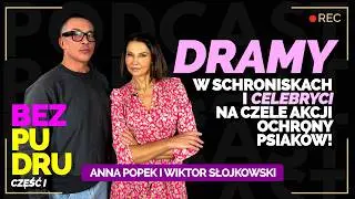 Kto wygra Celebrycką walkę o godne Schroniska dla zwierząt? Doda czy reszta świata.