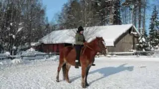 pihlavan ratsuriihi 2010
