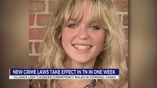&lsquo;Jillian&rsquo;s Law,&rsquo; other new crime laws that take effect in Tennessee July 1, 2024