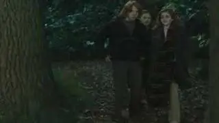 Draco/Hermione/Lucius- She Will Be Loved