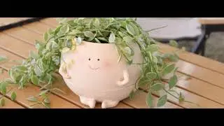 Self Watering Plant Pot Cute Smile Face Planter Pot Indoor Outdoor Plants Unique Pots - NINIPAPA