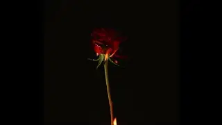 [FREE] Neima Ezza x Vale Pain Type Beat 2022 ~ 