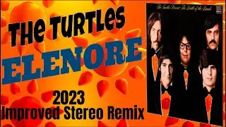 The Turtles  