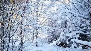 Winter walk in Aberdeenshire, Scotland, UK . Snow fall in January 2026