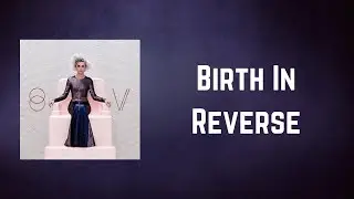 St. Vincent - Birth In Reverse (Lyrics)