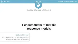 R Tutorial: Fundamentals of market response models