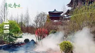 Create a Dreamy Garden Retreat with Misting | Nebufly Misting Systems
