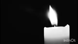 Silent Confessions | Shadows and Light AI