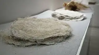 The 600 years old hand papermaking craft in China&rsquo;s Jiangxi&mdash;Lianshi Paper