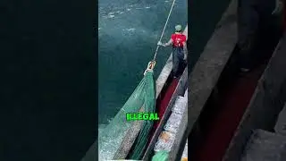 Are These Fishermen Breaking the Law?