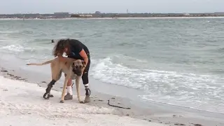Dog And Owner Both Have Prosthetic Leg