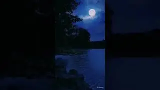 #night #sound #moon #riverview
