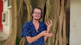 Iboga vs ibogaine final