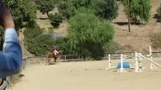 Tight triple of oxers, rollback turn to vertical, turn to corner 2 stride angle