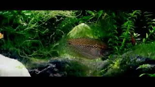 Canon Vixia HF G10 Cinematic 24fps Test Video 2