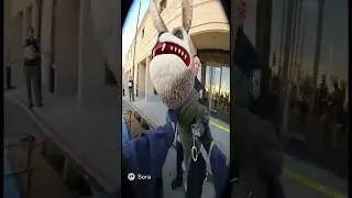 Weird labubu gets arrested
