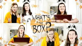 What's In The Box? | CrazyKinz