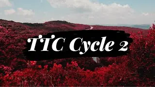 Cycle 2 TTC | Post Excision Surgery | Endometriosis