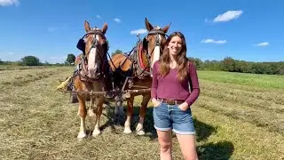 MY DAUGHTER TRUDY IS WORKING HORSES TODAY! #956