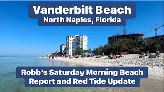 Robb&rsquo;s Saturday Morning Beach Report and Red Tide Update for North Naples, Florida | Feb. 8, 2025