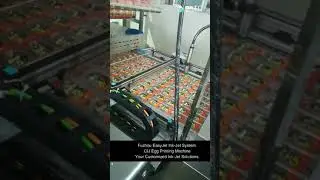 Egg printer with moving mechanism, egg marking machine EasyJet customized.