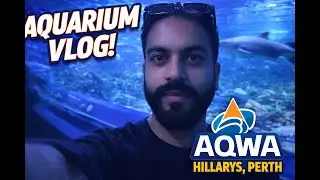 Inside Perth&rsquo;s Biggest Aquarium 🦈 | AQWA Hillarys Vlog 🇦🇺