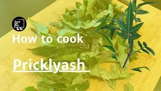 How to: use Pricklyash? 刺蔥
