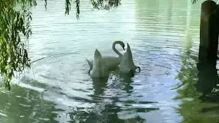 Relaxing Lake and Birds Sounds for Sleep, Relax, Escape from Today's Chaos, Meditation, Study, Sleep