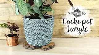 CACHET POT 