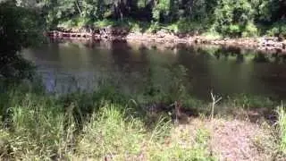 Hiking along the Swuannee River in Twin Rivers State Forest