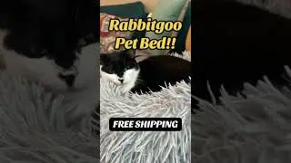 Luxury pet bed for cats & small dogs | 3 colors, free shipping #petbed #cats