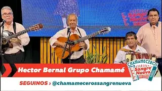 Hector Bernal y su grupo Chamam&eacute; Chamameceros Sangre Nueva 15 11 25