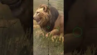 #shortsvideo #gaming #hunter #deerhunting #hunting #game #virtualhunting # #ultimatehunting